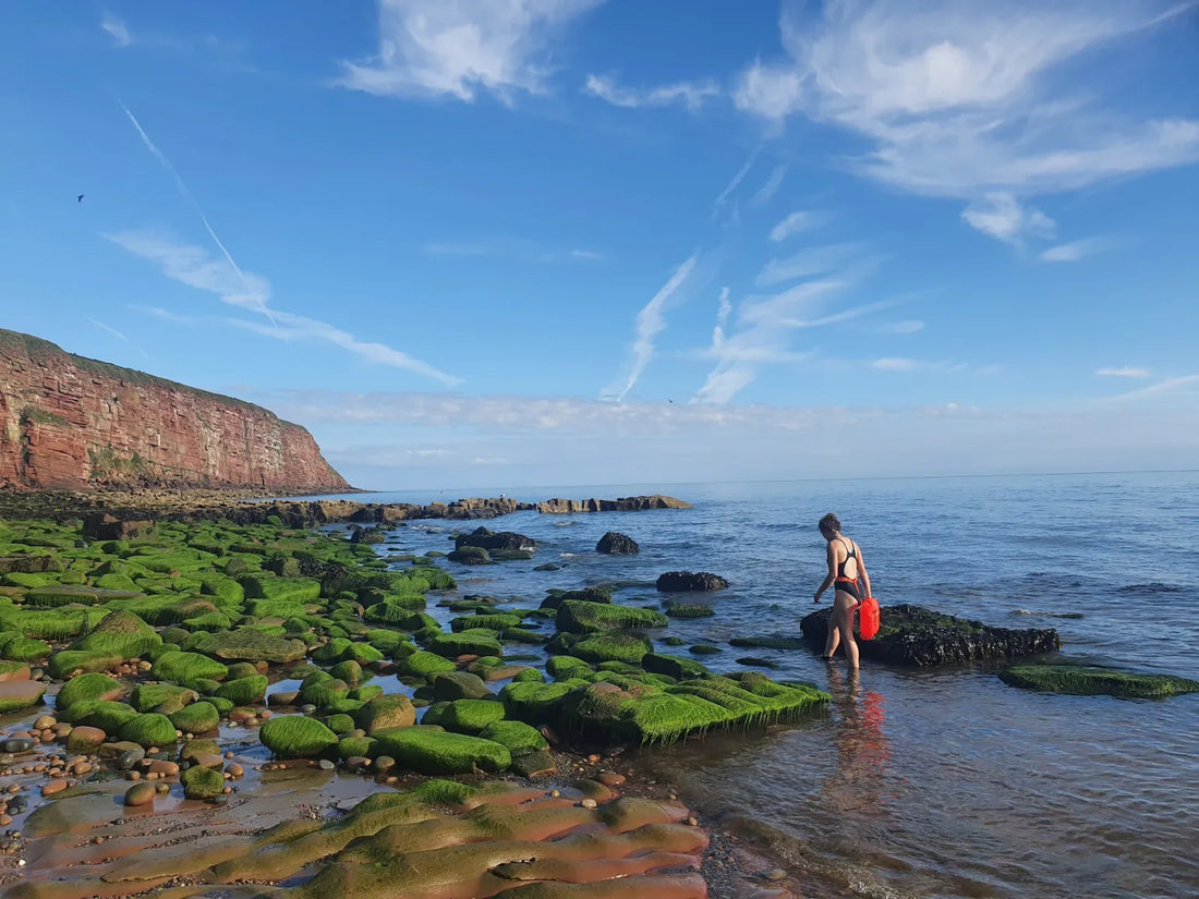 Chilly Dips and Frozen Nips: Swimming Through the Seasons