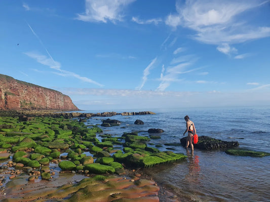 Chilly Dips and Frozen Nips: Swimming Through the Seasons