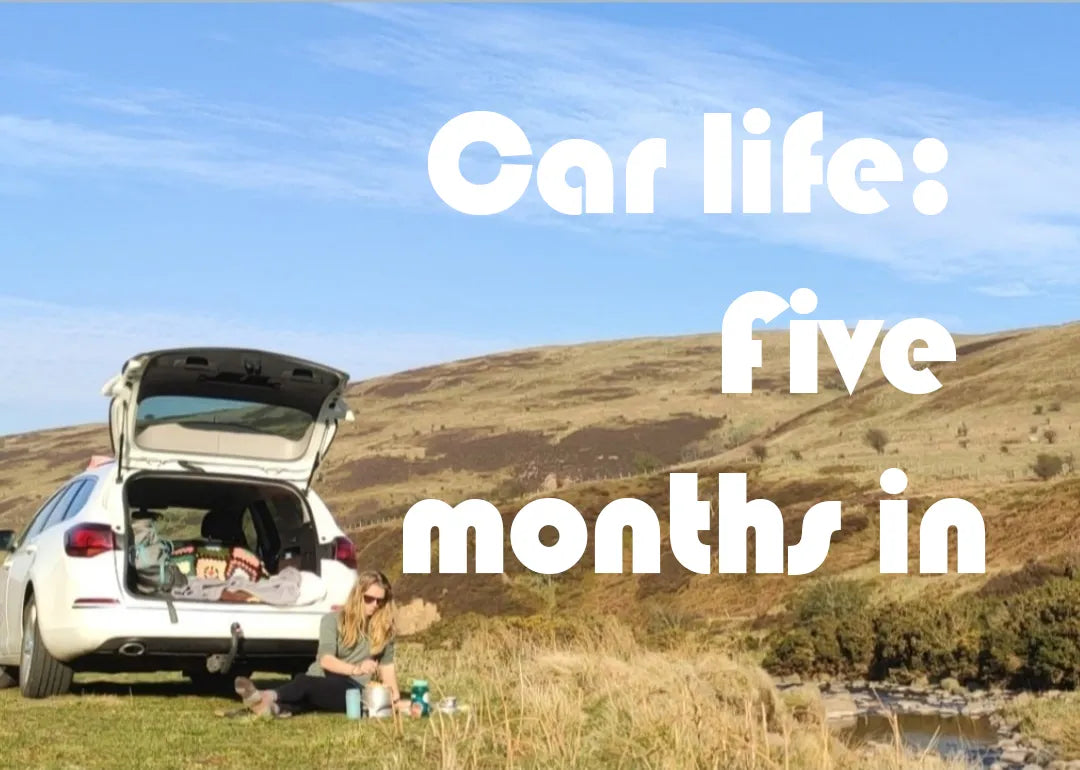 Zoes goes carlife: five months in…