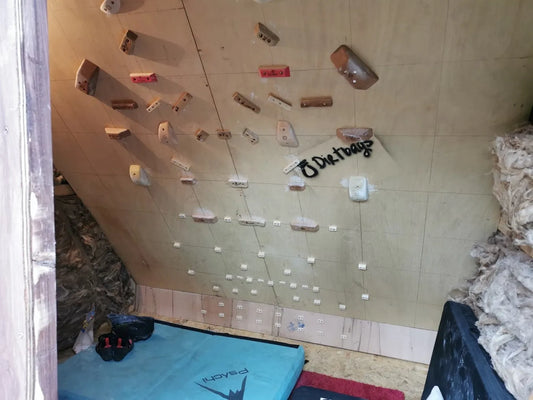 DIY: Home Climbing Board