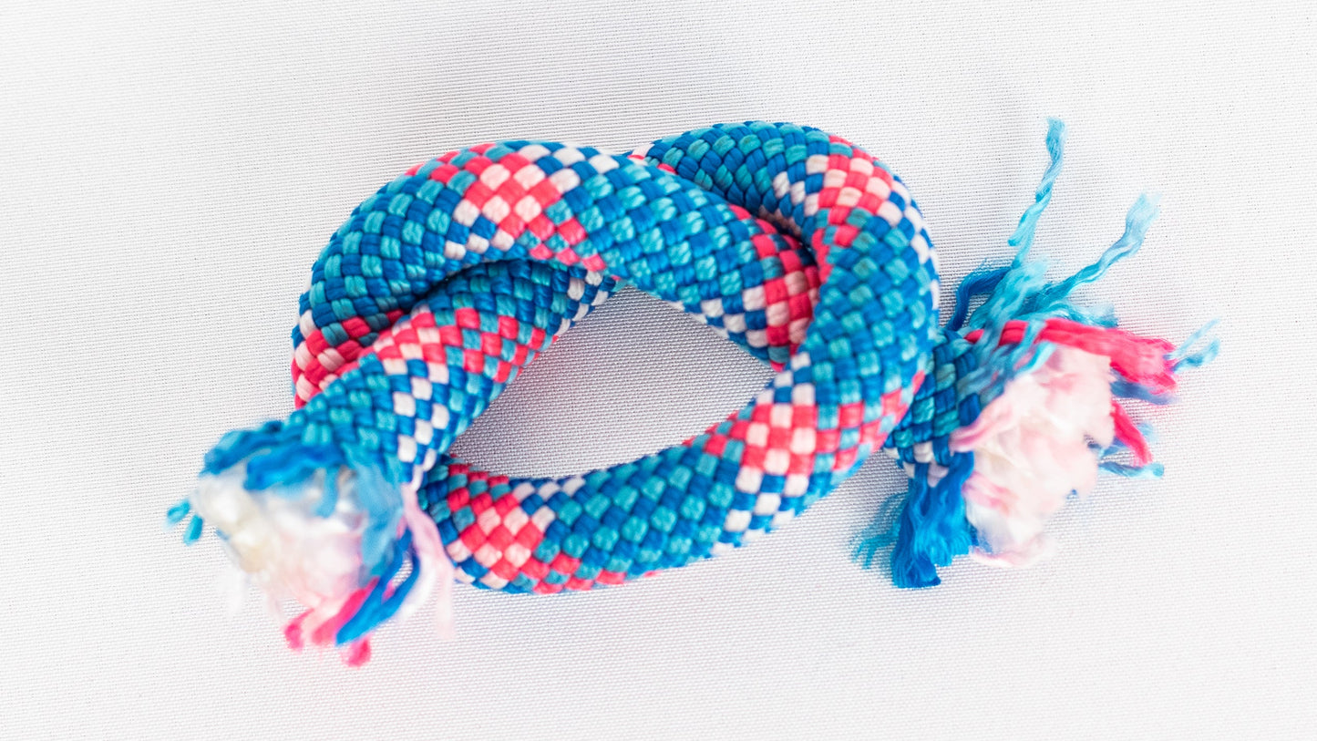 Blue and pink braided rope on a white background
