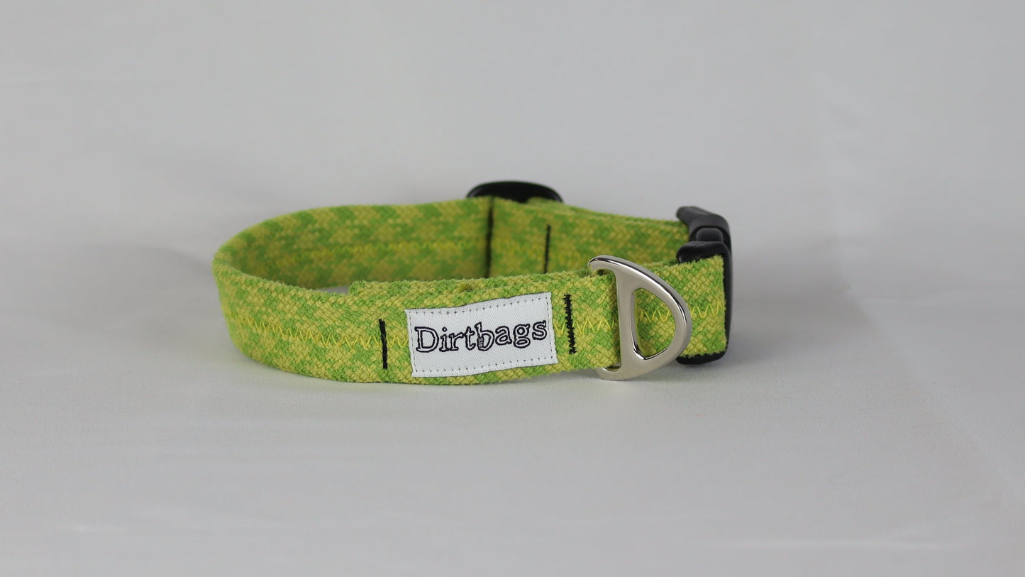 Green dog collar with a brand tag on a gray background