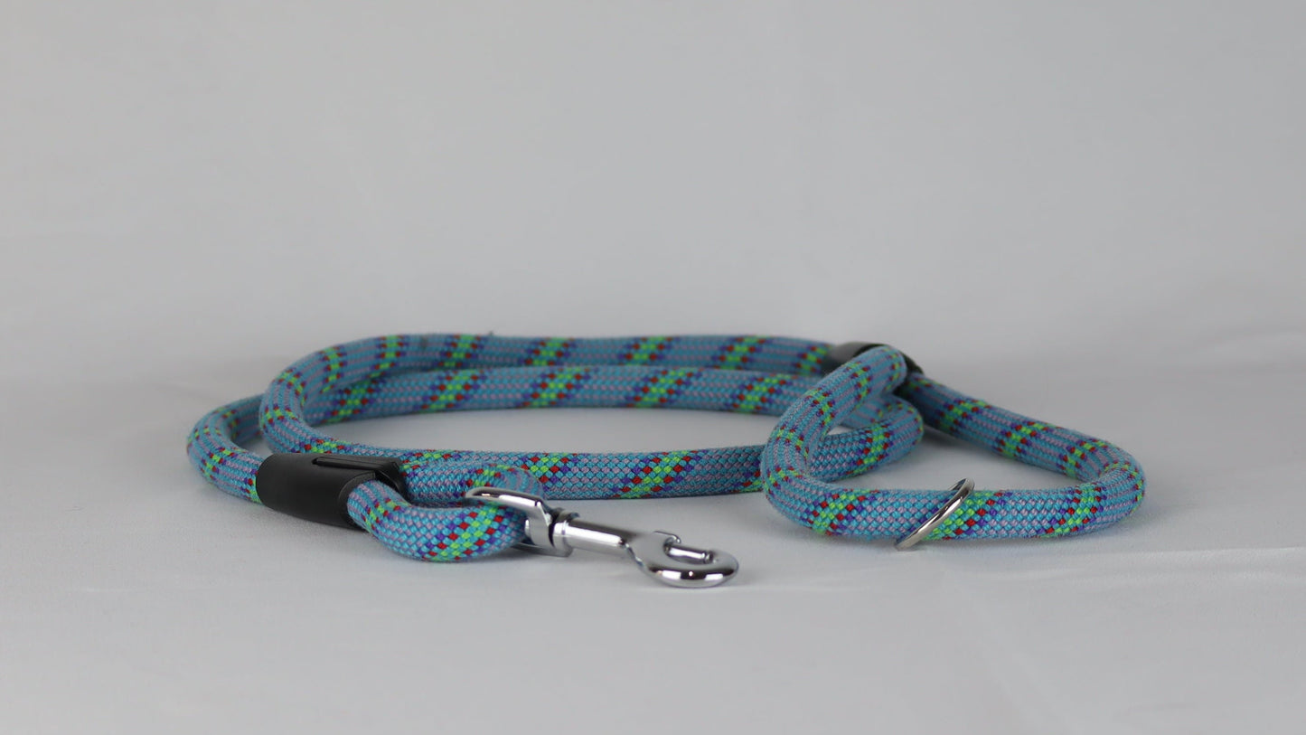 Blue and green dog lead coiled up