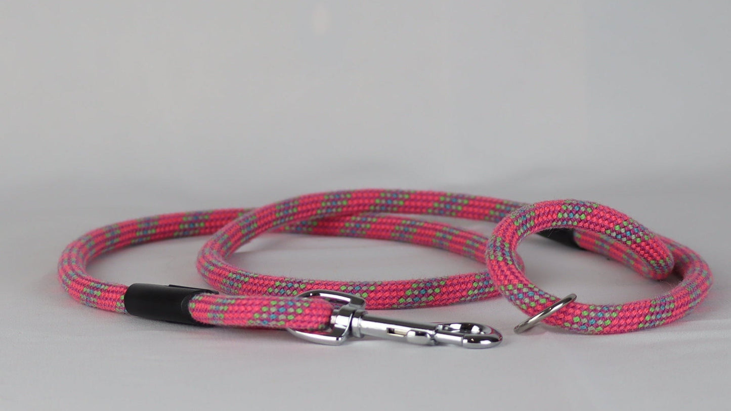 Pink and gray braided dog leash on a white background