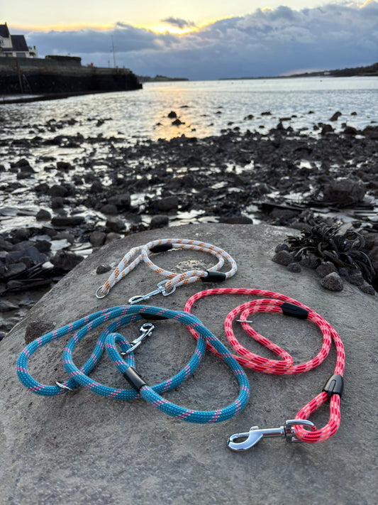 Upcycled Pink, White and Blue braided dog leads out of climbing rope on a concrete surface on the North Wales coast in the background