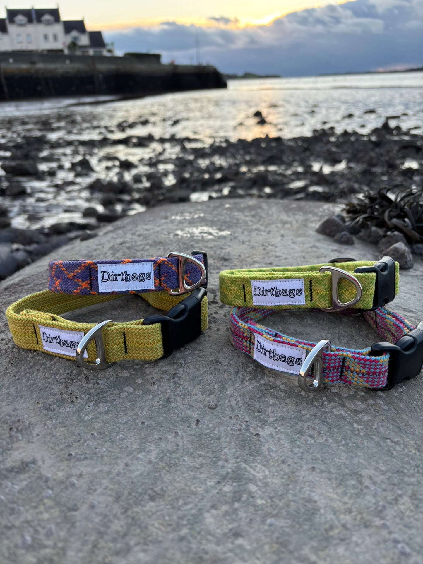 Dog collars with 'Dirtbag' branding on a concrete surface with a coastal background.