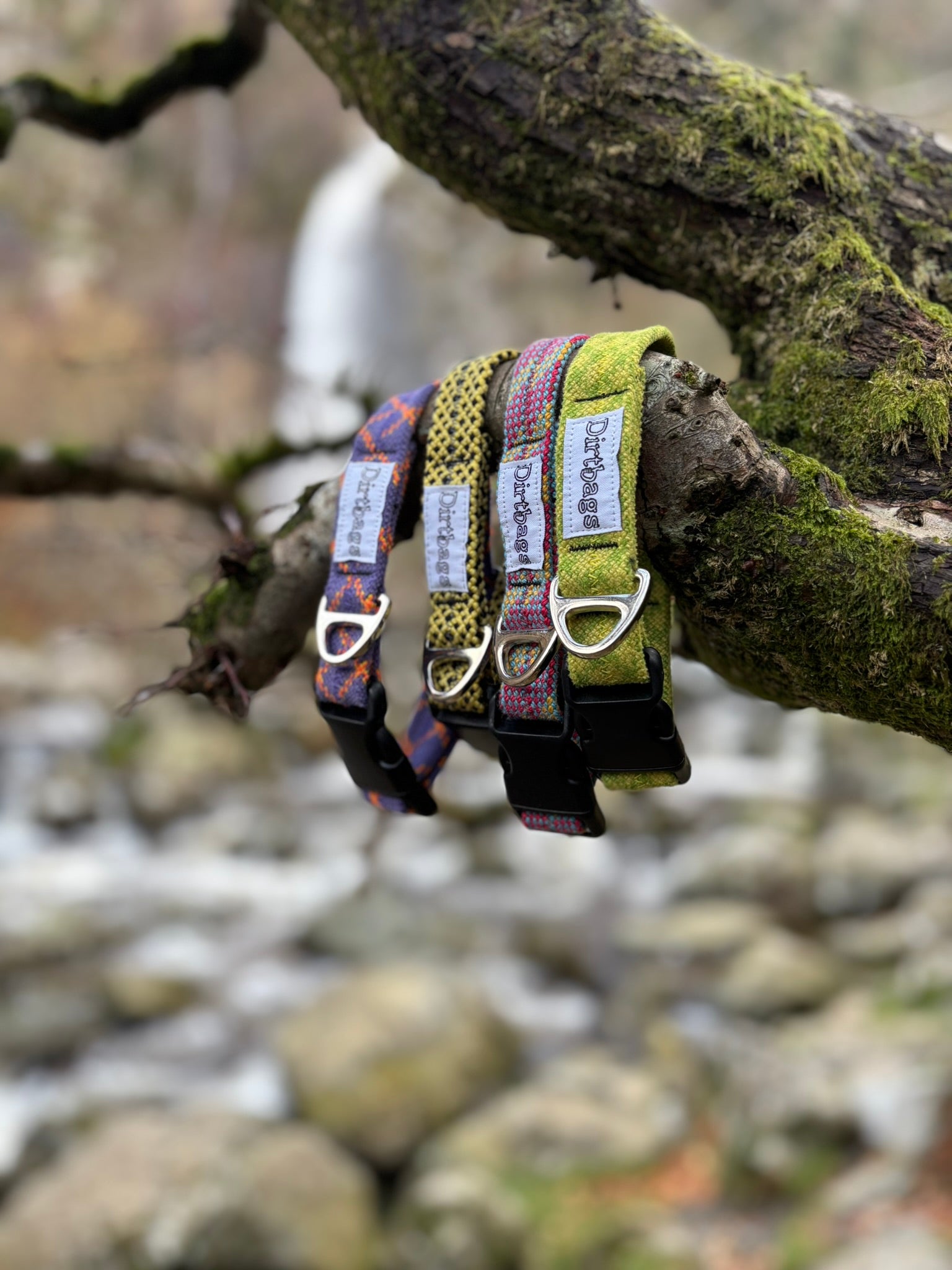 Dirtbags dog collars made out of upcycled climbing rope in the North Wales woodland on a tree branch
