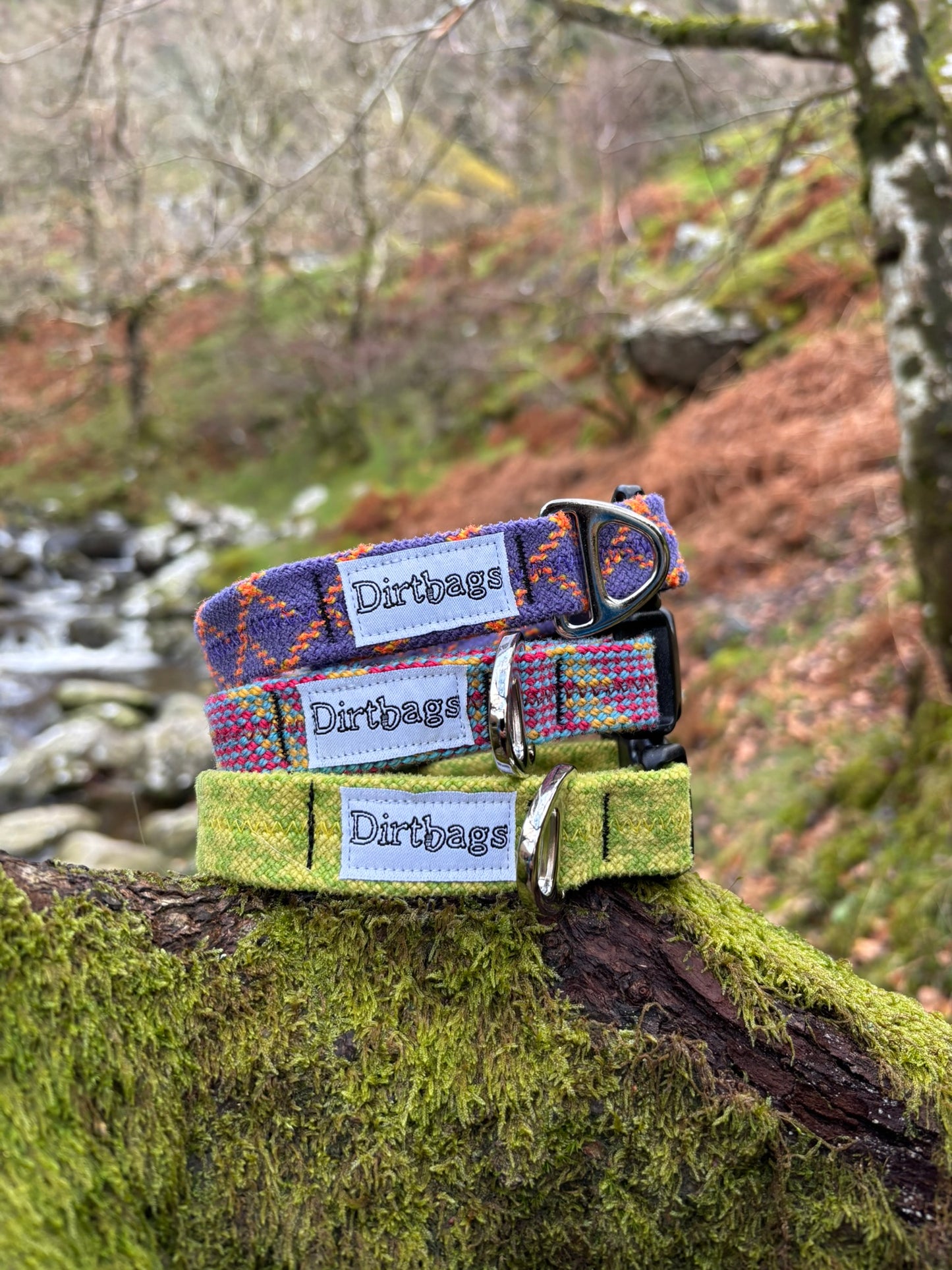 Dirtbags dog collars made out of upcycled climbing rope in the North Wales woodland
